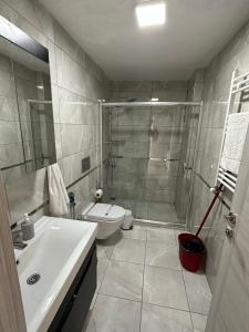 ein Bad mit einer Dusche, einem WC und einem Waschbecken in der Unterkunft بورصة شقة مريحة Bursa Nilufer مَنْظَرٌ جَمِيلٌ in Nilüfer