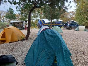 Fotografie z fotogalerie ubytování Garden Pansiyon Çıralı v destinaci Kemer