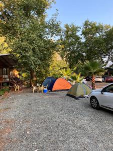 Fotografie z fotogalerie ubytování Garden Pansiyon Çıralı v destinaci Kemer