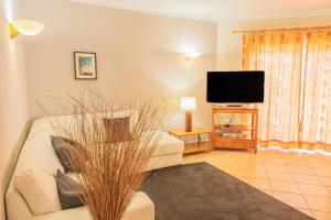 Una sala de estar con un sofá y un televisor de pantalla plana. en Quinta da Amoreira by the Pool Two, en Alvor