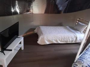 1 dormitorio con 1 cama y TV de pantalla plana en Bolhas da Montanha, 