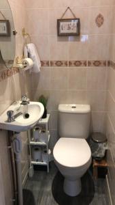 a bathroom with a toilet and a sink at The Old Forestry Cottage in Portree