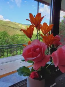 Балкон або тераса в Guesthouse Mtkvari