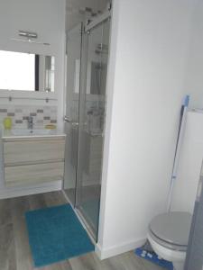 a bathroom with a shower and a toilet and a sink at Mini villa 84 sur la route des vins in Sainte-Cécile-les-Vignes