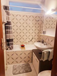La petite salle de bains est pourvue d'un lavabo et d'une douche. dans l'établissement Wasserfälle Apartments, à Sasbachwalden
