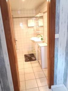 a small bathroom with a sink and a toilet at GÎTE LE GELEINFÊTE II VOSGES à proximité de GERARDMER in Herpelmont