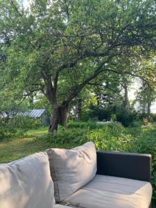- un canapé installé sous un arbre dans un parc dans l'établissement Zen Garden House, 