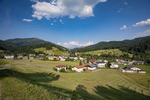 Příroda nedaleko apartmánu