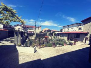 vista su un cortile con piante e edifici in vaso di Vila Khalo a Mangalia