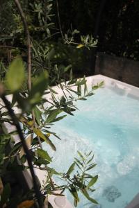 una bañera llena de agua azul junto a un árbol en INSULA FELIX Bed&Breakfast, en Moniga del Garda