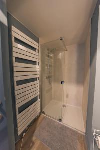 a shower with a glass door in a bathroom at Le Vintage coup de coeur ! in Mons