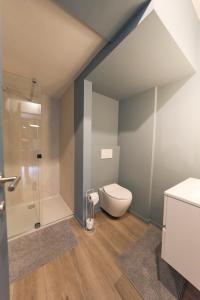 a bathroom with a toilet and a glass shower at Le Vintage coup de coeur ! in Mons