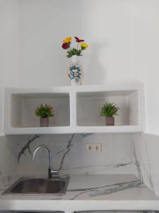 a kitchen with a sink and two shelves with flowers at Klimataria Studios in Agios Prokopios