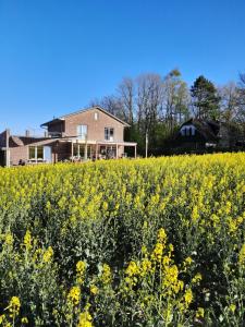 una casa y un campo de flores amarillas en Ferienwohnung Seestern in Reinbek, en Reinbek