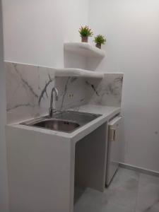 a white kitchen with a sink with two potted plants at Klimataria Studios in Agios Prokopios