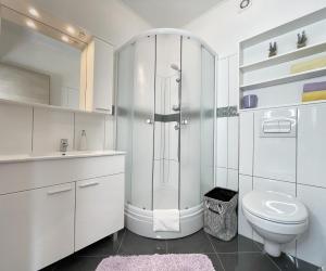 a white bathroom with a shower and a toilet at Apartments Gajeta in Povile