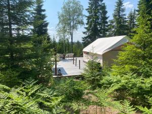 a tent in the middle of a forest with trees at Glamping Tent with amazing view in the forest in Torsby