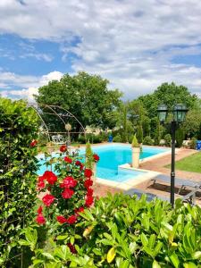una piscina con fiori rossi in un giardino di Villa Il Bocatino con piscina esclusiva a Citerna