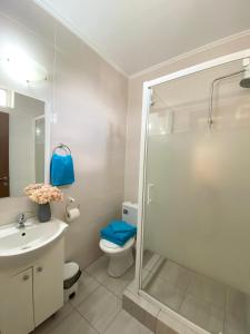 a bathroom with a shower and a toilet and a sink at Perfect Holiday Villa in Constanţa