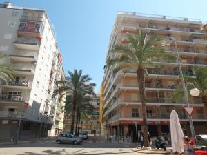 a street with palm trees in front of a building at Neptuno Playa San Antonio in Cullera