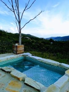 uma piscina com uma árvore no meio em Pousada Chalé da Montanha São Thomé das Letras em São Thomé das Letras