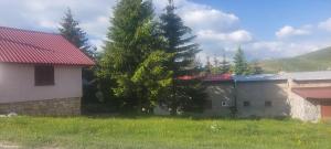 a house with a tree next to a building at Villa Krompir in Tetovo
