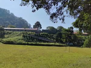 Jardín al aire libre en DOOARS VELLEY HOME STAY