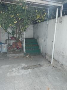 a staircase with a lemon tree in a garage at LA MAGA in Remedios de Escalada