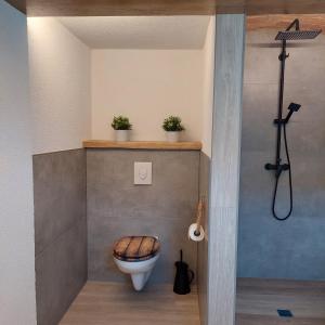 a bathroom with a toilet and a shower at Spreewald Ruhe in Radensdorf