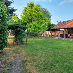 a yard with a tree and a building at Spreewald Ruhe in Radensdorf