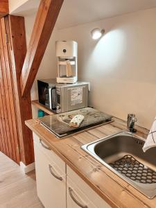 uma cozinha com um lavatório e um micro-ondas em Apartment Viechtach em Viechtach