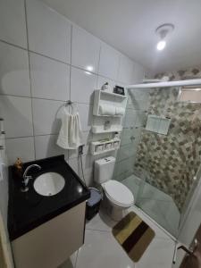 ein Badezimmer mit Waschbecken, Toilette und Dusche in der Unterkunft Kitnet encantador no centro de campina grande -PB in Campina Grande