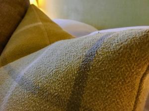 eine Nahaufnahme einer Decke auf einer Couch in der Unterkunft Westwood House in Dorchester
