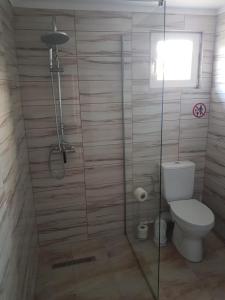 a bathroom with a toilet and a glass shower stall at La Dragalasu in Corbu