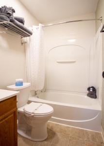 a bathroom with a toilet and a tub and a sink at The Pioneer Motel in Palmer