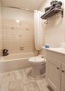 een badkamer met een toilet, een bad en een wastafel bij The Pioneer Motel in Palmer