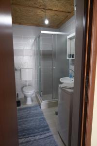 uma casa de banho com um WC, um lavatório e um chuveiro em Apartman Delać em Tivat