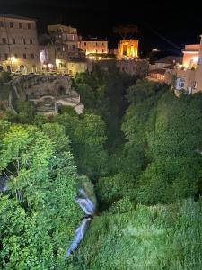 a butterfly flying over a lush green field at night at Palazzo Papa Gregorio XVI in Tivoli