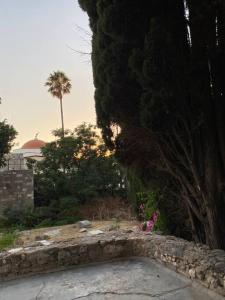 a stone garden with a palm tree and a building at CASA DI SARDI (main square of Kos) in Kos Town