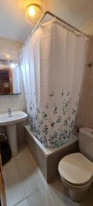 a bathroom with a toilet and a sink and a shower curtain at Taberna de Tresviso in Tresviso