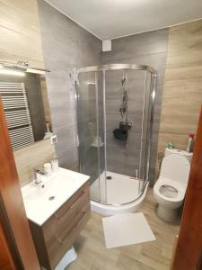 uma casa de banho com um chuveiro, um lavatório e um WC. em Noclegi na Wygonie em Sromowce Niżne