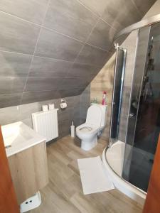 a bathroom with a toilet and a shower and a sink at Noclegi na Wygonie in Sromowce Niżne