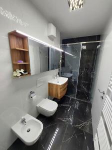 a bathroom with a sink and a toilet and a mirror at Luxury Apartment Ljubljana in Ljubljana