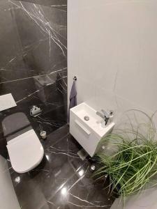 Łazienka z białą toaletą i umywalką w obiekcie Luxury Apartment Ljubljana w Lublanie