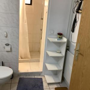 a bathroom with a shower and a toilet at Gemütliches Zimmer im Seterant/Untergeschoss in Essen