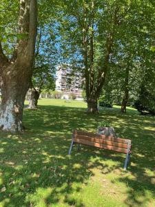 a park bench sitting in the grass next to trees at Superbe T3 lumineux sur parc arboré avec piscine in Anglet
