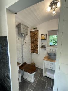 a bathroom with a toilet and a sink at Gillan Creek Retreat in Helston