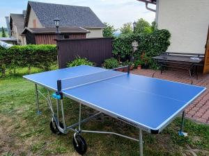 een blauwe tafeltennistafel in een tuin bij Ferienhaus Keppler im Erzgebirge in Sayda
