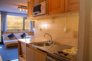 a kitchen with a sink and a couch in a room at Le Rossane 26m Balcon vue in Aillon-le-Jeune
