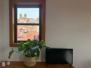 uma planta sentada numa mesa em frente a uma janela em Ferreira Borges Nomadic Ap A no Porto